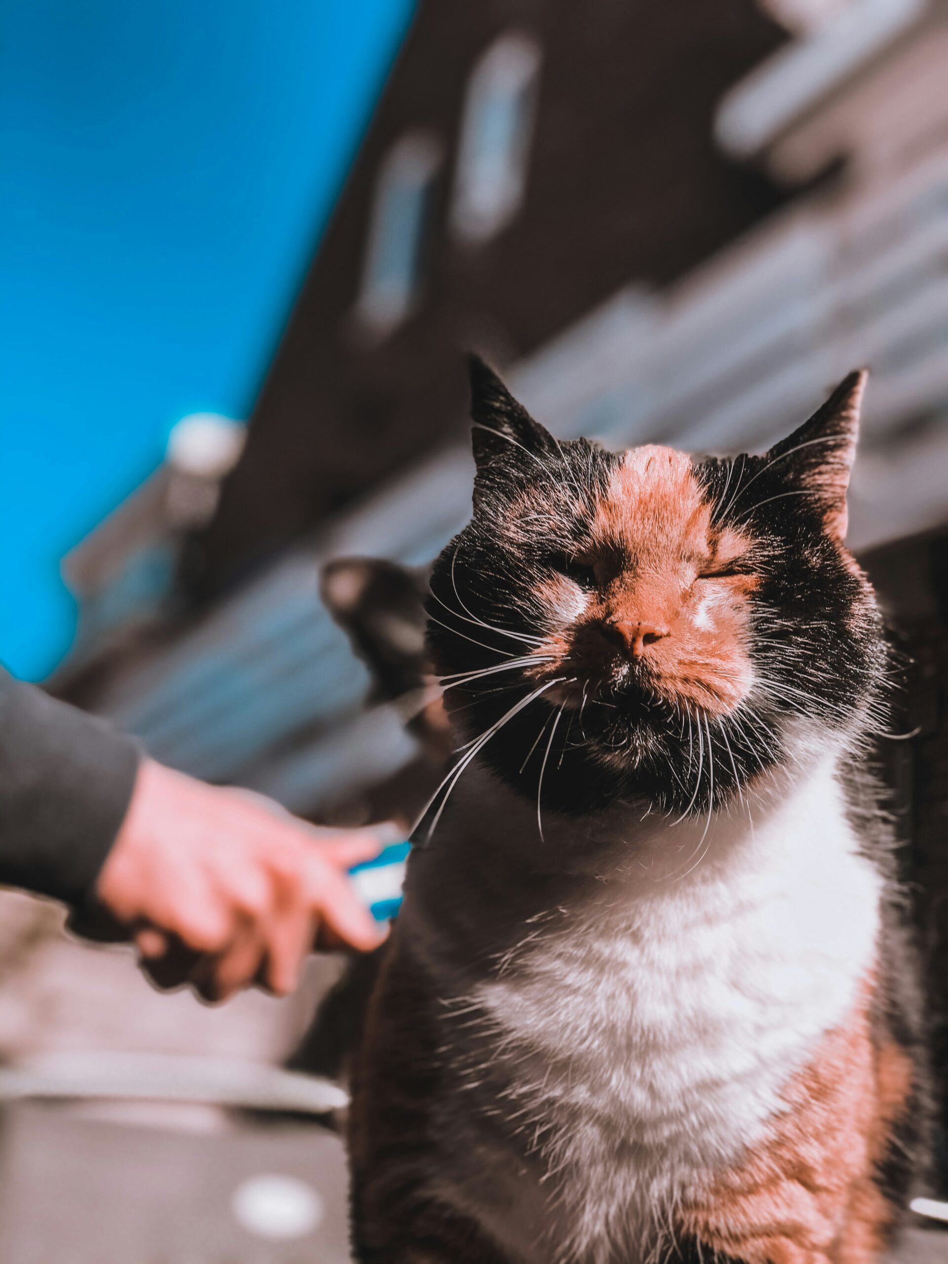 marit van wijngaarden ql ioqqcz9k unsplash